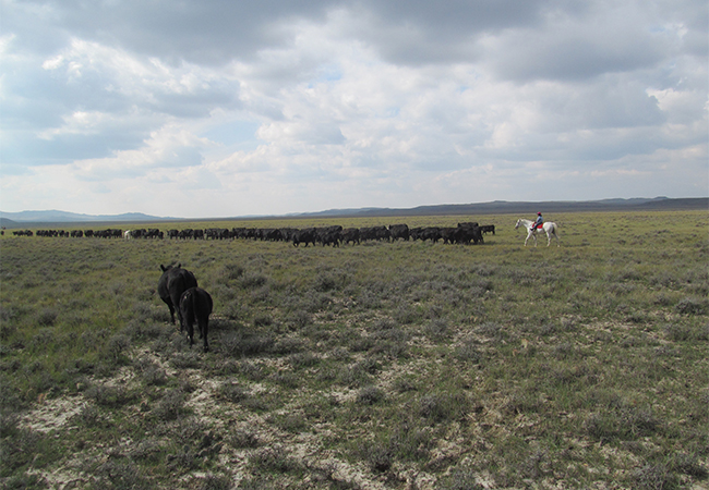 Život na ranči v prérii