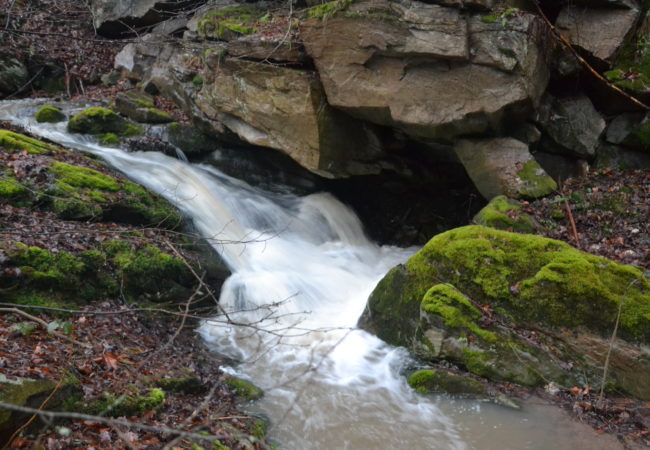 U jarních potoků – Studánky a vodopády Tišnovska